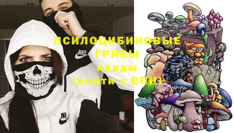 Галлюциногенные грибы Magic Shrooms  что такое   Калачинск 